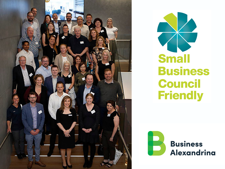 Small Business Friendly Council Initiative